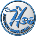 HSG Dornheim/Groß-Gerau