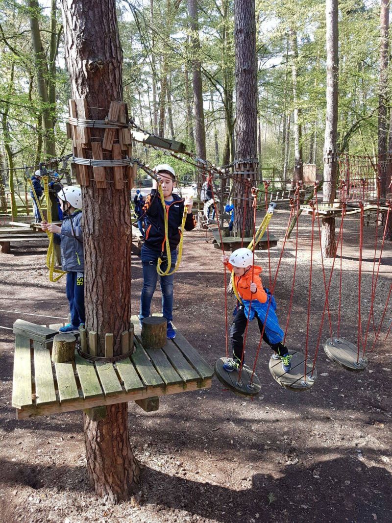 Saisonabschluss M&auml;nnliche E-Jugend 2015/2016 Kletterwald