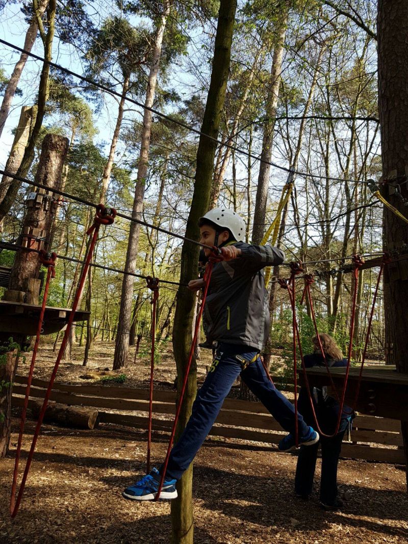 Saisonabschluss M&auml;nnliche E-Jugend 2015/2016 Kletterwald