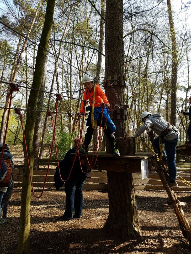 Saisonabschluss M&auml;nnliche E-Jugend 2015/2016 Kletterwald