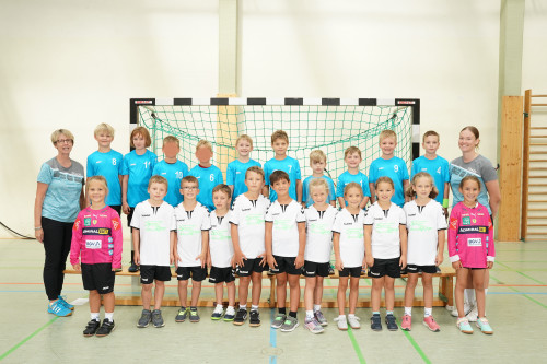 Minis Gro&szlig;-Gerau